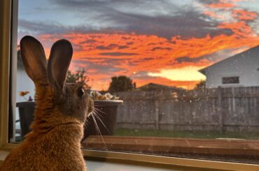 Good morning from the southern hemisphere ✨