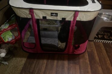 Moving Update!