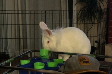Enrichment advice!