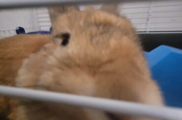 He's so nosy.