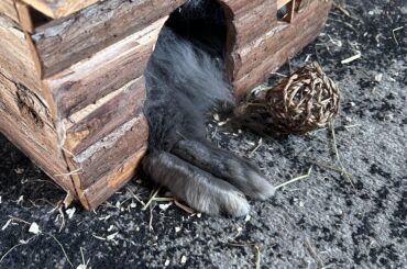 new footsie pictures for onlybuns 🐰