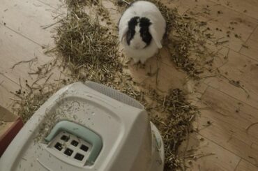 She is SO proud of herself