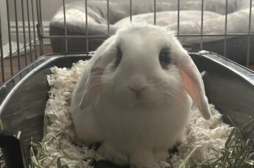 name suggestions?