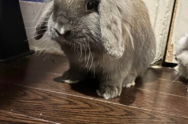 My sweet Dale