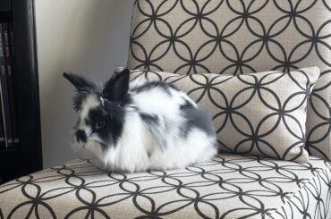 Caesarina on her throne