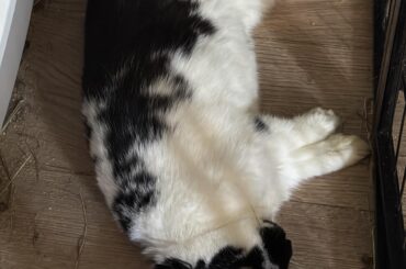 Her soul left her body after making a mess😂