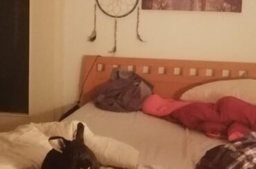 Bun waits for me every day