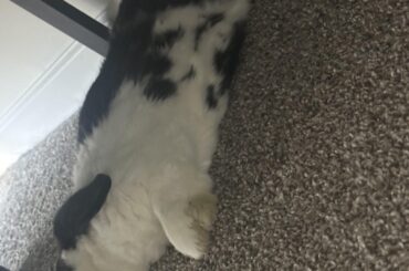 Sleeping well.