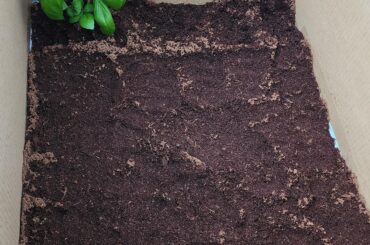 Anybun do ewww to dirt/soil?