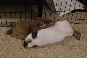 Snuggling in my room