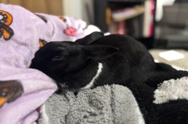 The cosiest boy