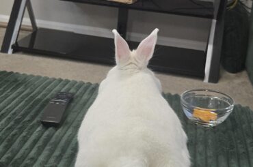 Tv time