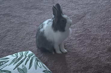 Is she sitting well?