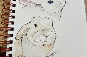 Road Trip Rabbit Drawings