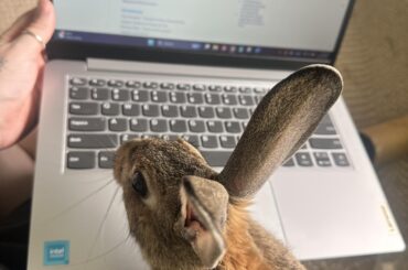 Will this count as plagiarism 🙀