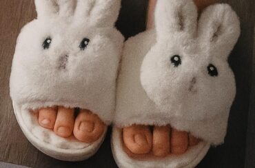 Not necessarily about pets, but bunny related.