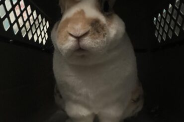He’s plotting something 🧐🧐🧐