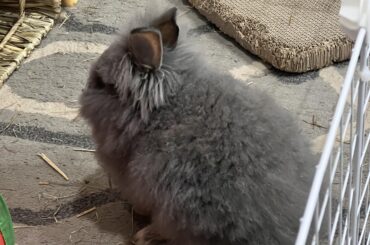 He suddenly started ignoring me today, is he mad?
