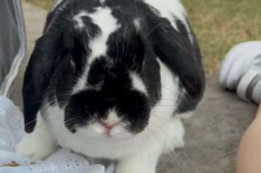 outside time!