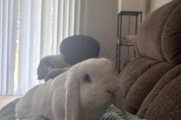 Junie appreciation post🥰