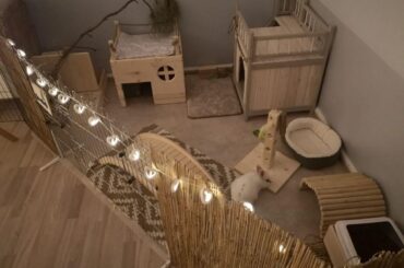 Planning on getting a bunny, does this cage look good enough?
