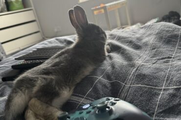 is he comfortable?