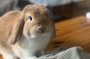 Bailey’s morning photoshoot