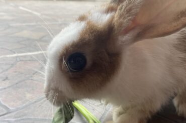 Big boba eyes here side eyeing me again 🤣