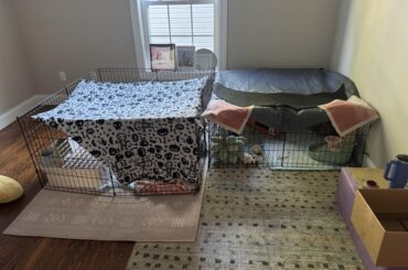 Rebonding Sisters