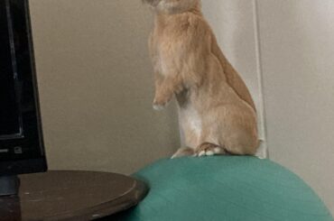 Follow carrot for more health and fitness tips