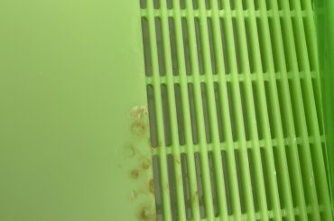 How to get rid of this stubborn pee stain on  litter box
