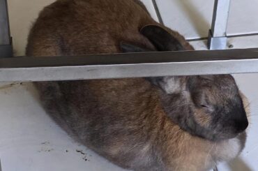 Caught sleeping with her eyes closed.