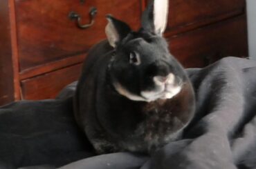 look at his silly little face