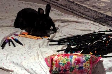 Ah, yes. Right on top of the markers.