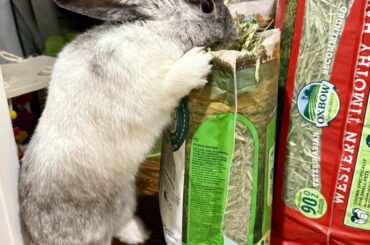 But it just tastes so much better straight from the bag!