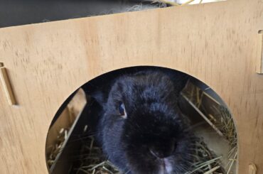 Well hello there. What do you have for me?
