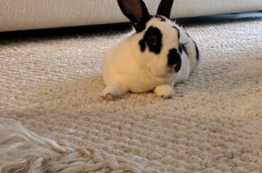 Müther, where treat?
