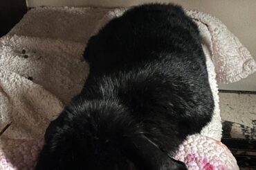 Why does my boy (4y?) not binky?