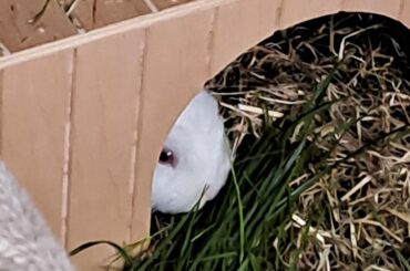 Tiny new boy