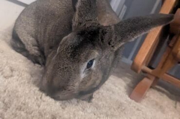 Meet him