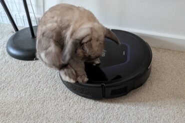 He has vanquished the robot hoover