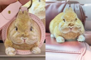 Can a bunny steal your heart twice? Tried to freeze this fluff’s charm into leather