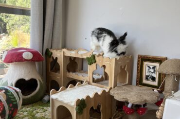 Is this thing operating correctly??