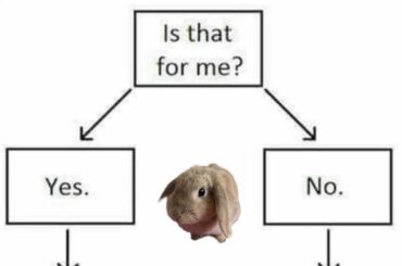 Honestly