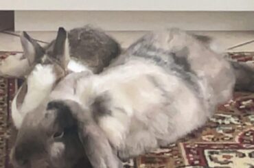 Just to help, bonding time