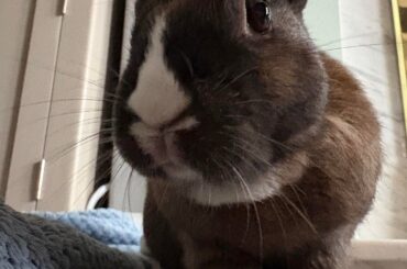 Whatcha got there?