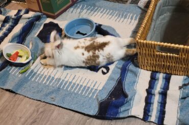 Kai and her sploot