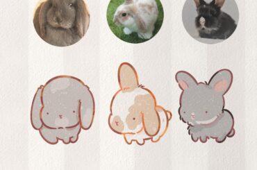 Your bunny, but big head 😳