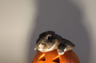 Spooky photoshoot