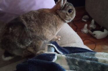 I'VE BEEN BRUSHING THE SAME SPOT ON HER BOOTY FOR TEN MINUTES